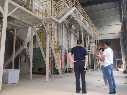 隆平數(shù)科助力 邵陽(yáng)紅 品牌發(fā)展壯大